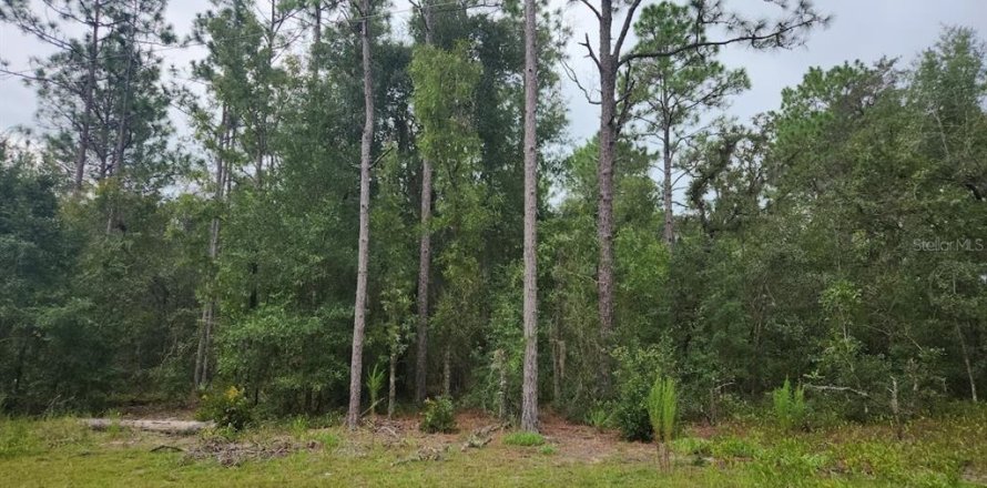 Land in Ocala, Florida № 2212675