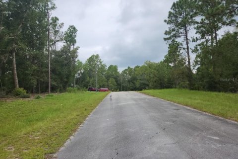 Land in Ocala, Florida № 2212675 - photo 3