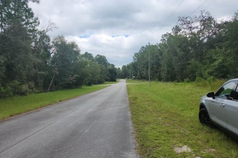Land in Ocala, Florida № 2212675 - photo 2