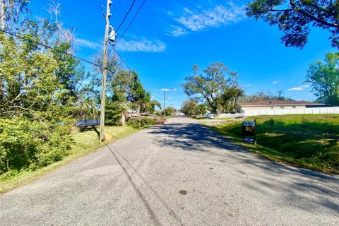 Land in Winter Garden, Florida № 1519448 - photo 5