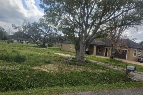 Land in Winter Garden, Florida № 1519448 - photo 11