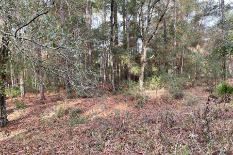 Terrain à vendre à Ocala, Floride № 2228733 - photo 2