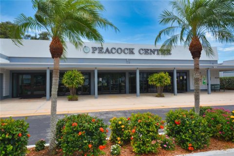 Condo in Seminole, Florida, 1 bedroom  № 1894312 - photo 12