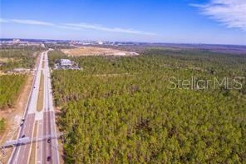 Land in Orlando, Florida № 213071 - photo 4