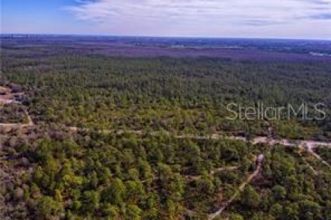 Land in Orlando, Florida № 213071 - photo 2