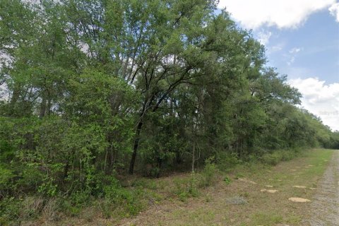 Terrain à Dunnellon, Floride № 2213962