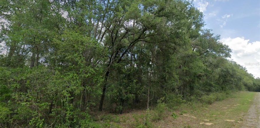 Terrain à Dunnellon, Floride № 2213962