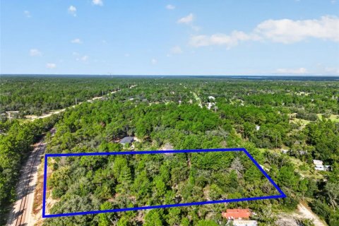Land in Dunnellon, Florida № 2360795