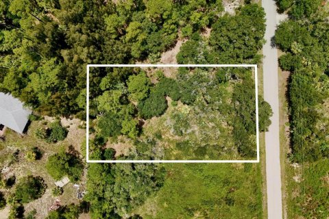 Land in Lehigh Acres, Florida № 2221224