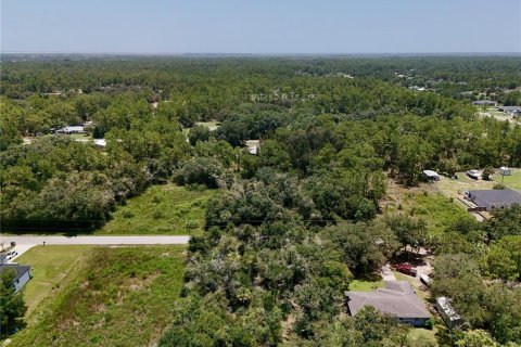 Terrain à vendre à Lehigh Acres, Floride № 2221224 - photo 25