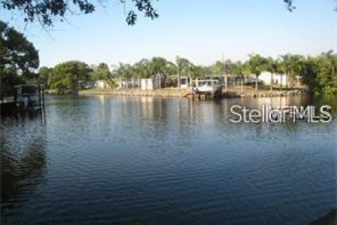 Condominio en Tampa, Florida, 2 dormitorios  № 2103697