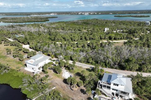 Land in Placida, Florida № 994833 - photo 7