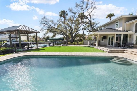 Villa ou maison à Tampa, Floride 5 chambres, 522.2 m2 № 2156129