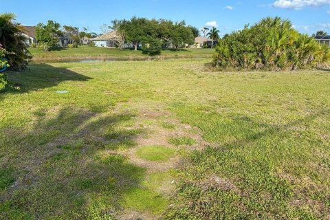 Land in Rotonda, Florida № 2103057 - photo 3