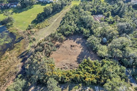 Land in Lake Wales, Florida № 1643188 - photo 5