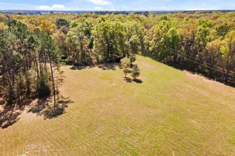 Land in Lake City, Florida № 864086 - photo 2