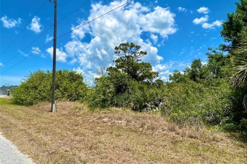 Land in Port Charlotte, Florida № 2161111
