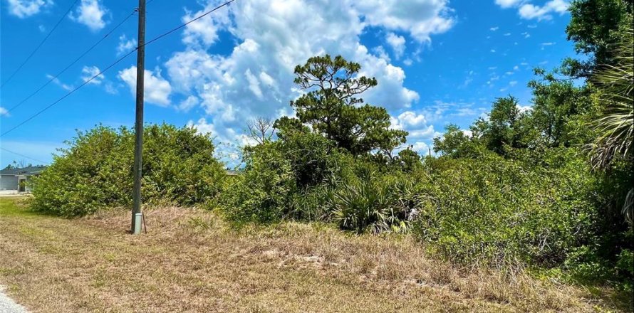 Land in Port Charlotte, Florida № 2161111