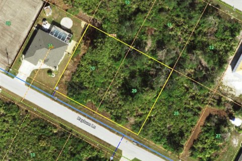 Land in Port Charlotte, Florida № 2161111 - photo 4