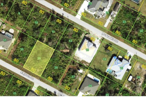 Land in Port Charlotte, Florida № 2161111 - photo 3