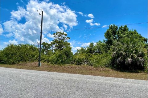 Land in Port Charlotte, Florida № 2161111 - photo 2