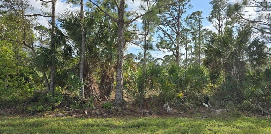 Land in Port Charlotte, Florida № 2239495