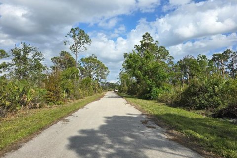 Land in Port Charlotte, Florida № 2239495 - photo 2