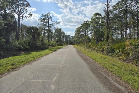 Land in Port Charlotte, Florida № 2239495 - photo 3
