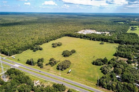 Terrain à vendre à Lecanto, Floride № 1539787 - photo 25