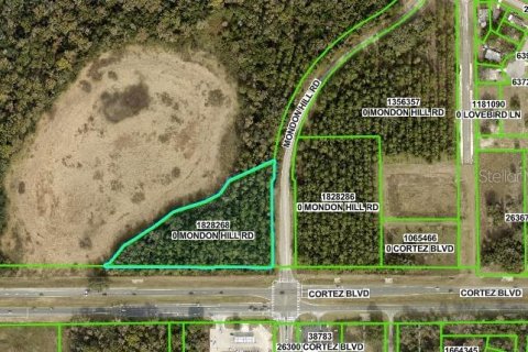 Land in Brooksville, Florida № 1534827 - photo 10