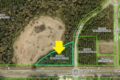 Land in Brooksville, Florida № 1534827 - photo 5