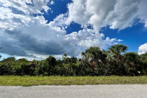 Land in Port Charlotte, Florida № 2160127