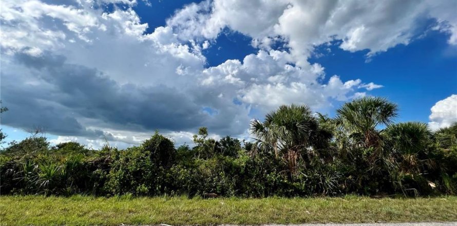 Land in Port Charlotte, Florida № 2160127