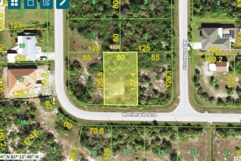 Land in Port Charlotte, Florida № 2160127 - photo 4