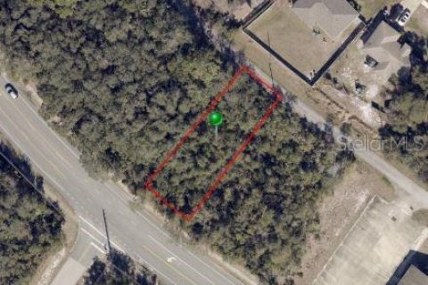 Terreno en venta en Deltona, Florida № 2201447 - foto 2