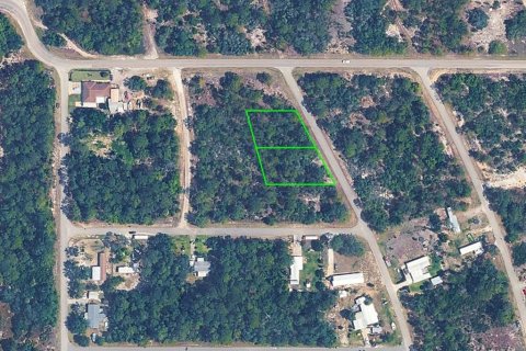 Land in Lake Placid, Florida № 2163410 - photo 3