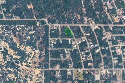Land in Lake Placid, Florida № 2163410 - photo 4