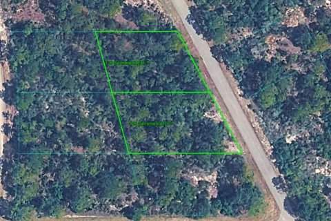 Land in Lake Placid, Florida № 2163410 - photo 2
