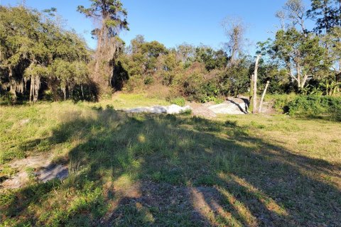 Terreno en venta en Deltona, Florida № 212896 - foto 8