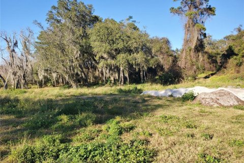 Terreno en venta en Deltona, Florida № 212896 - foto 1