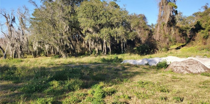 Terreno en Deltona, Florida № 212896