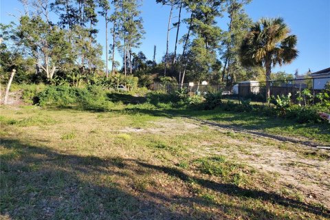 Terreno en venta en Deltona, Florida № 212896 - foto 9