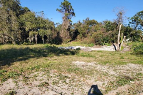 Terreno en venta en Deltona, Florida № 212896 - foto 11