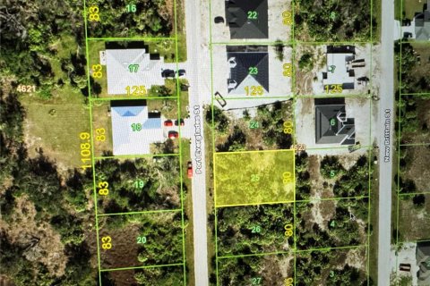 Land in Port Charlotte, Florida № 2165576