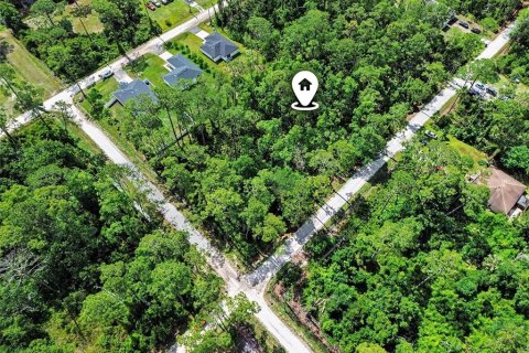 Land in DeLand, Florida № 2161765