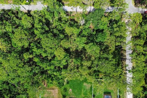 Land in DeLand, Florida № 2161765 - photo 8