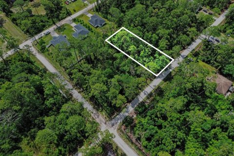 Land in DeLand, Florida № 2161765 - photo 4