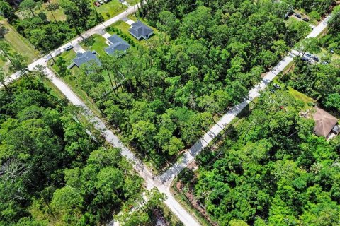 Land in DeLand, Florida № 2161765 - photo 10