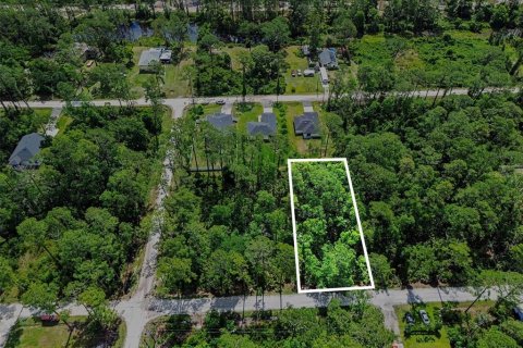 Land in DeLand, Florida № 2161765 - photo 3