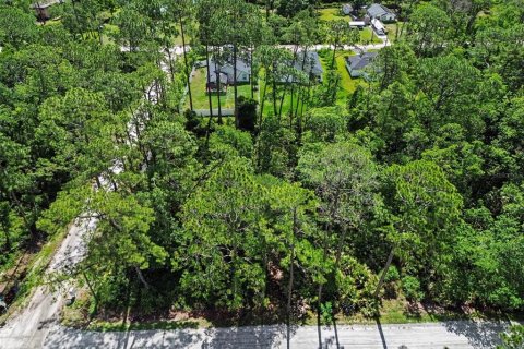 Land in DeLand, Florida № 2161765 - photo 11